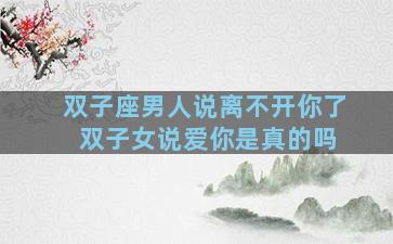 双子座男人说离不开你了 双子女说爱你是真的吗